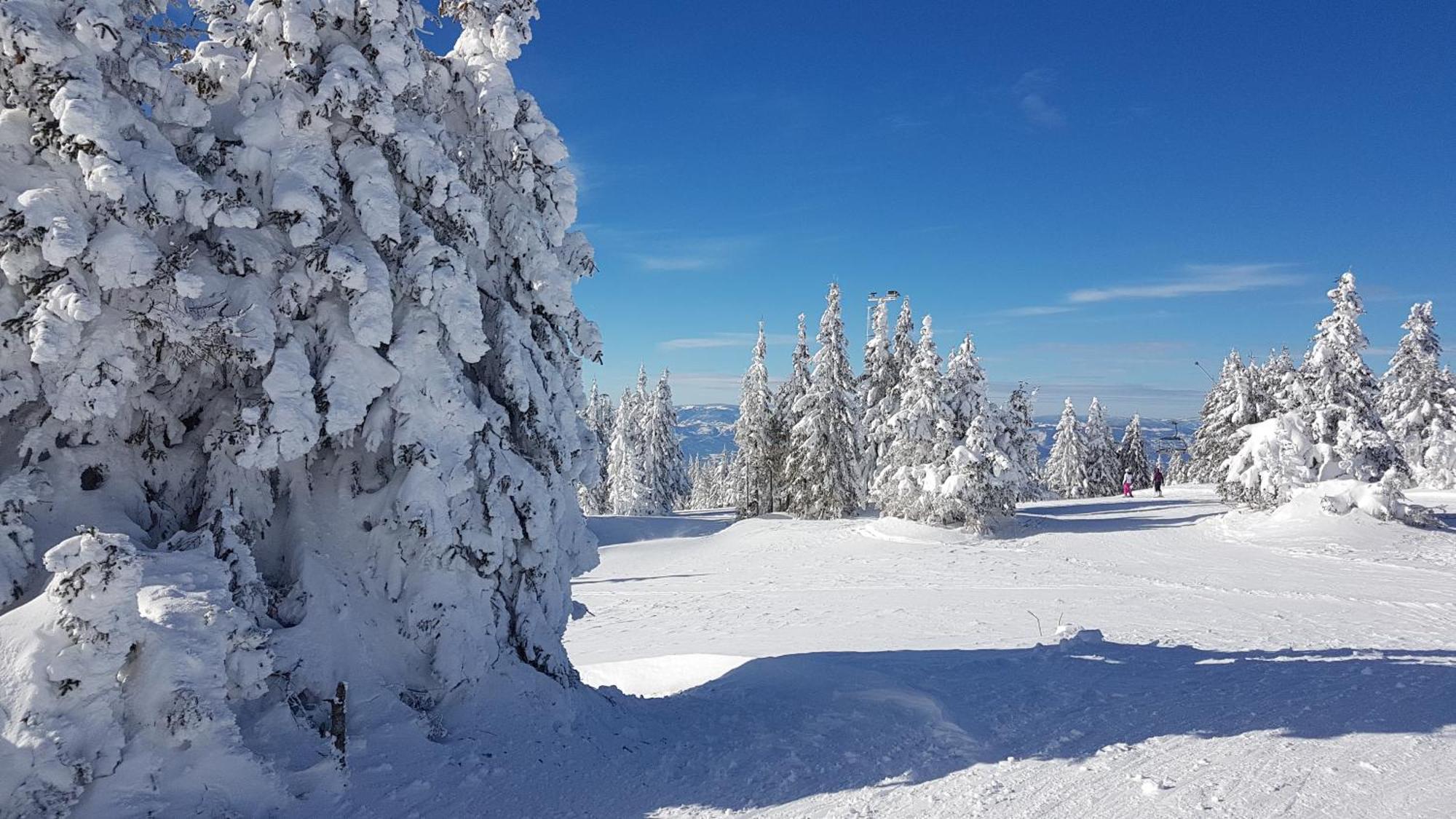 Marrilux Apartments Residence Hill Kopaonik Dış mekan fotoğraf